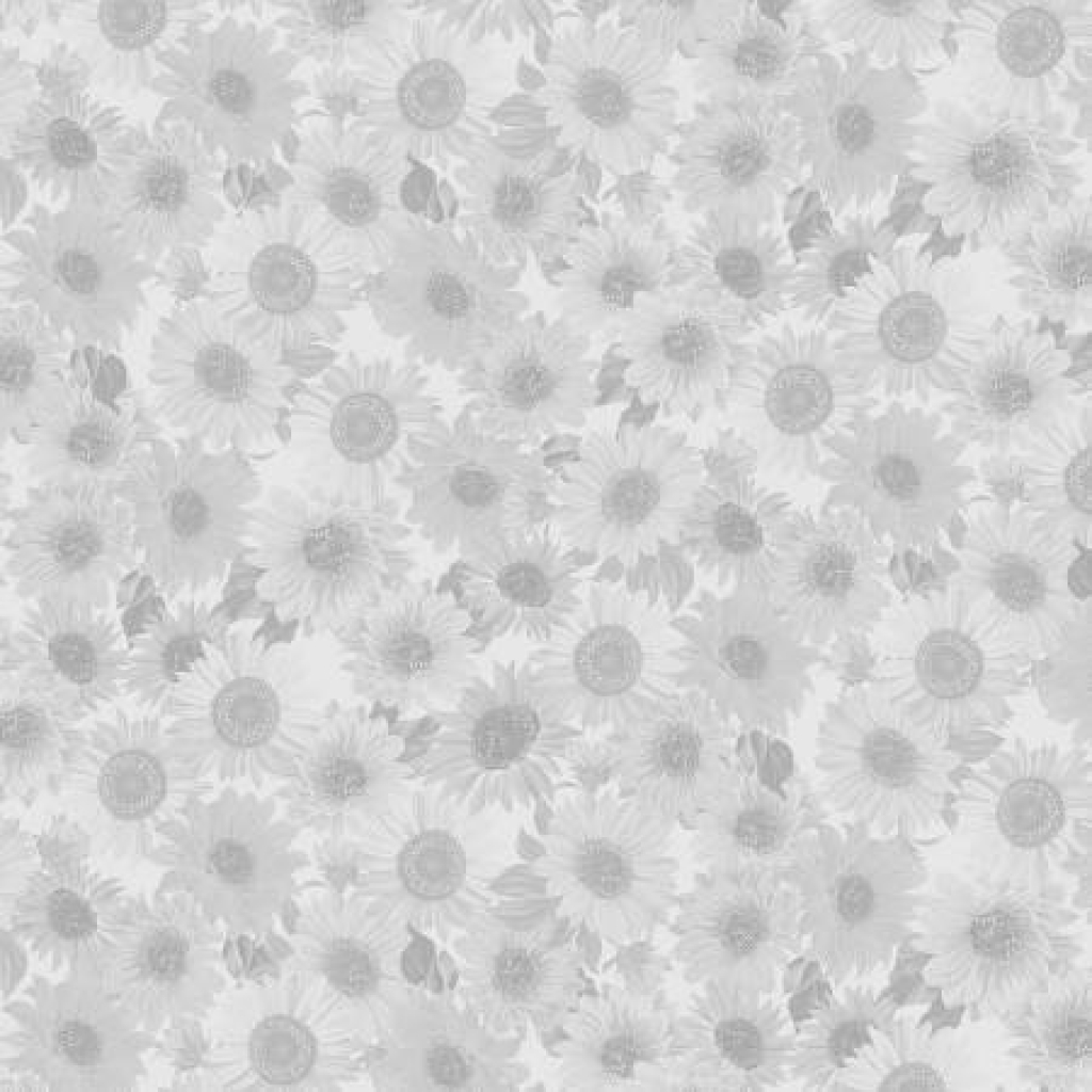 Light Grey Sunflower Whispers 108in Wide Quilt Back