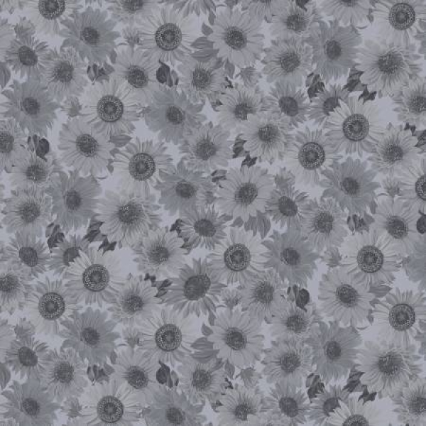 Medium Grey Sunflower Whispers 108in Wide Quilt Back