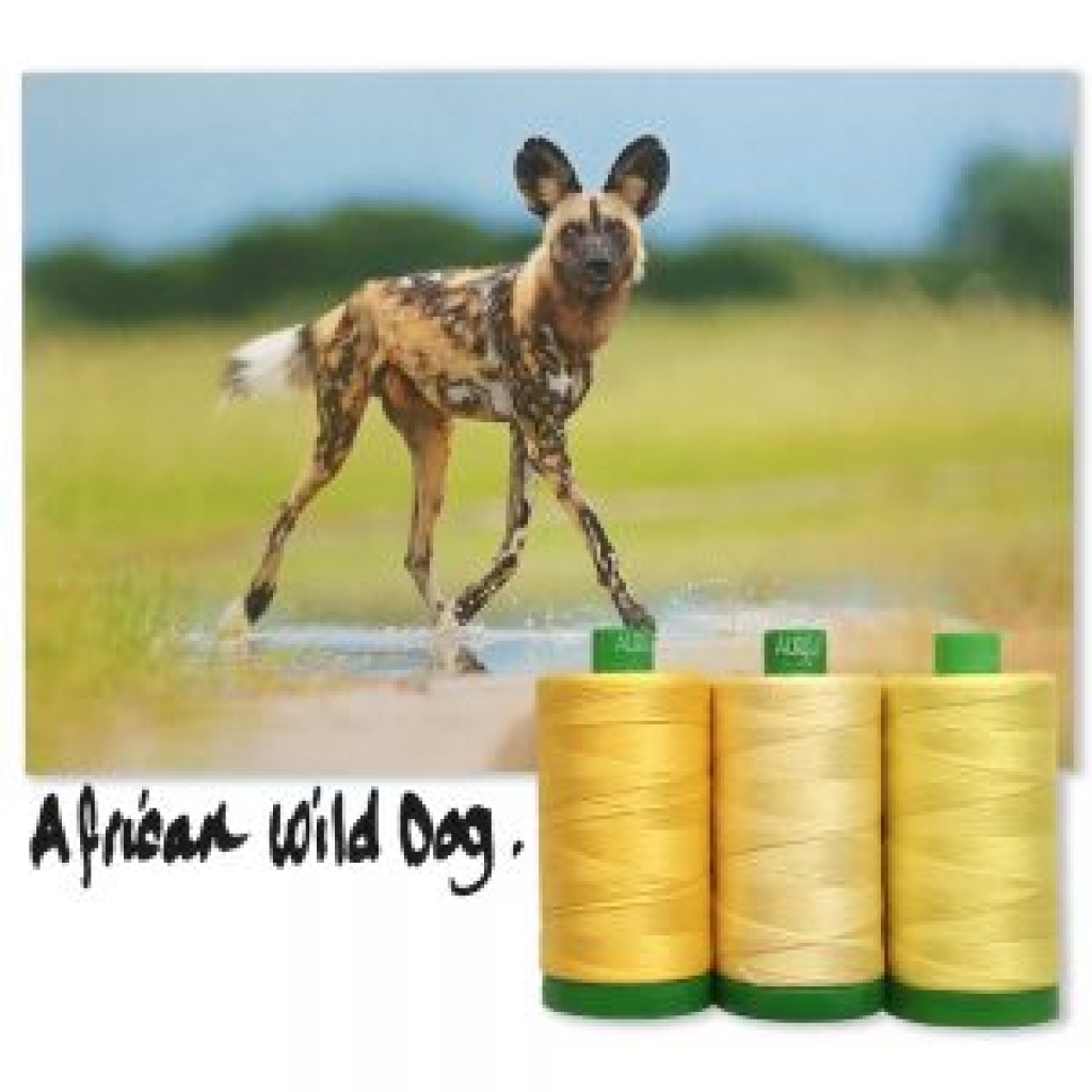 African Wild Dog 40wt tråd