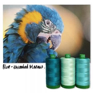 Blue Throated Macaw 40wt tråd