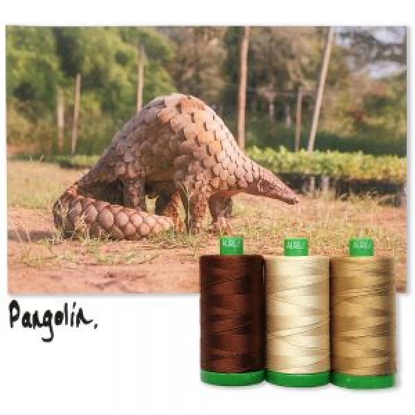 Pangolin 40wt tråd