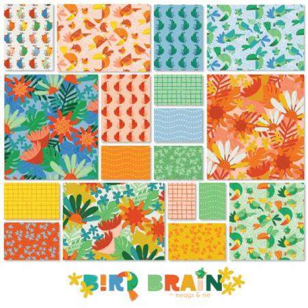 5in Squares Bird Brain, 42pcs