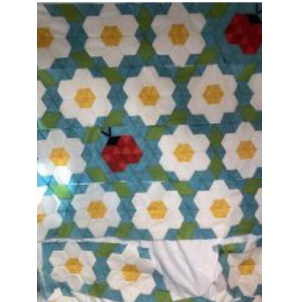 Kit Ladybug Bloom, Mønster fra Krista Moser