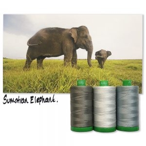 Sumatran Elephant 3 x Aurifil 40wt tråd