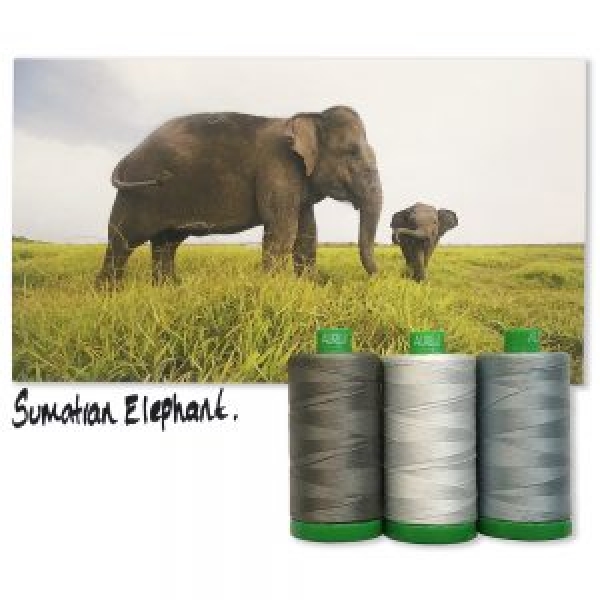 Sumatran Elephant 3 x Aurifil 40wt tråd