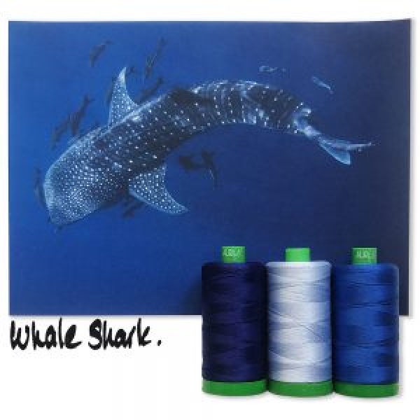 Whale Shark 40wt tråd