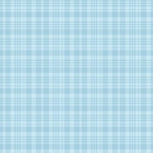 Winnie the Pooh Plaid Blue